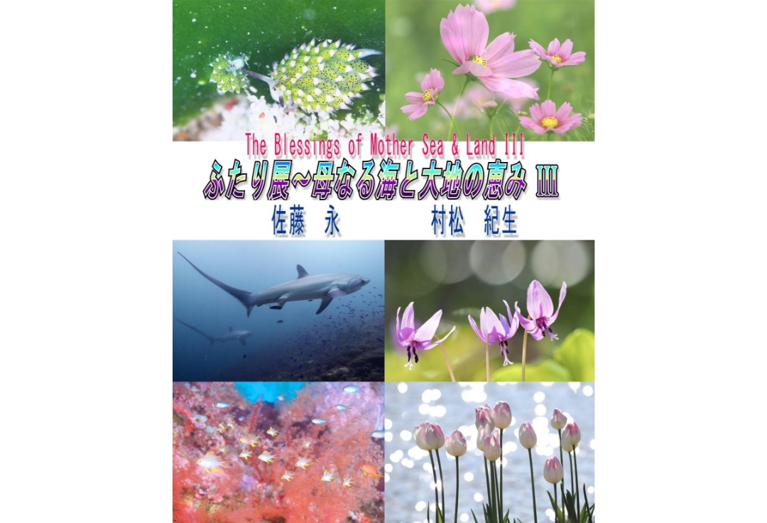 佐藤永・村松紀生<br>ふたり展<br>〜母なる海と大地の恵みⅢ