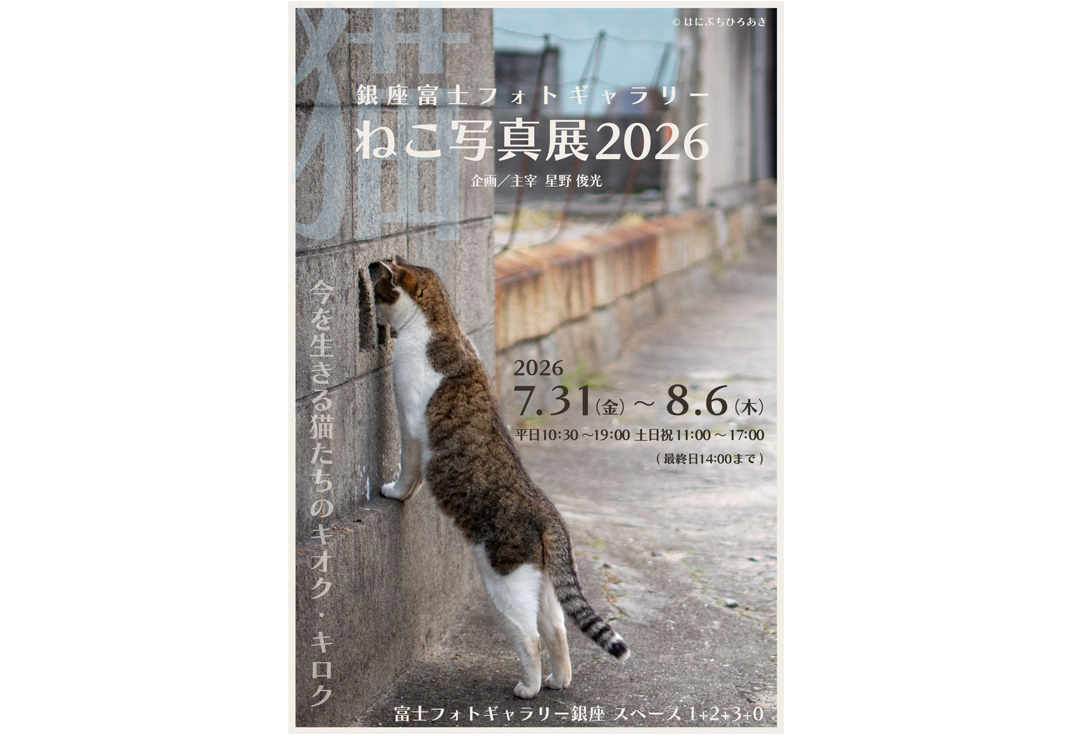 銀座 富士フォトギャラリー ねこ写真展2026<br>~今を生きる猫たちのキオク・キロク~<br>企画/主宰 星野俊光