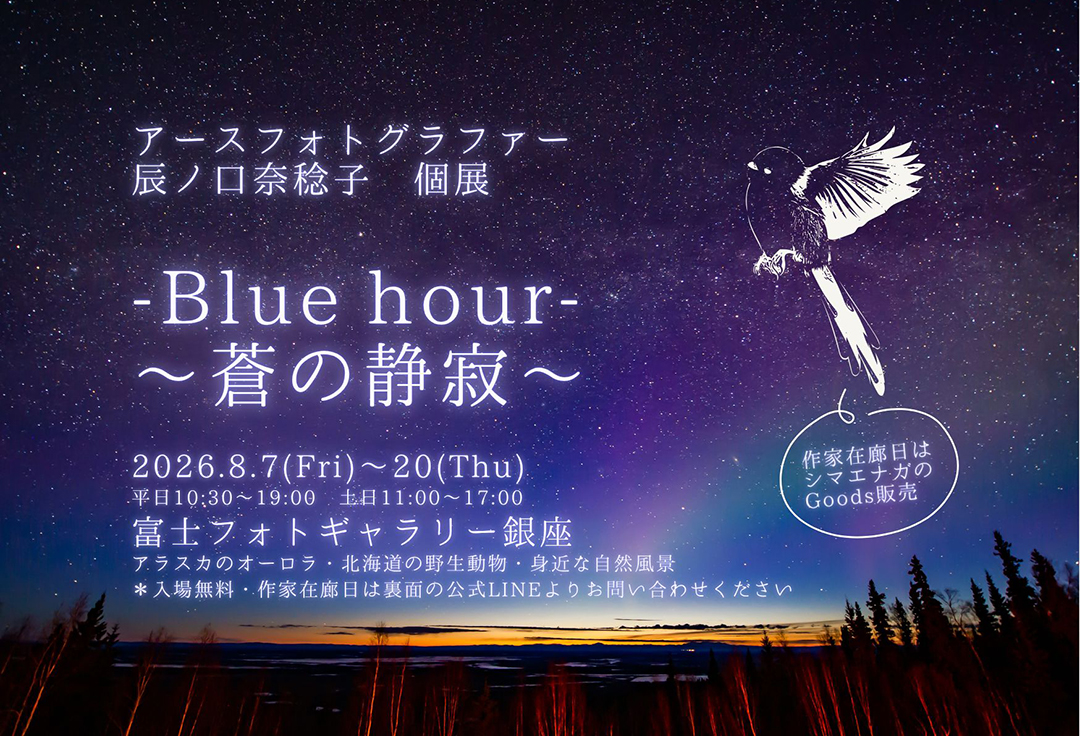 辰ノ口奈稔子個展