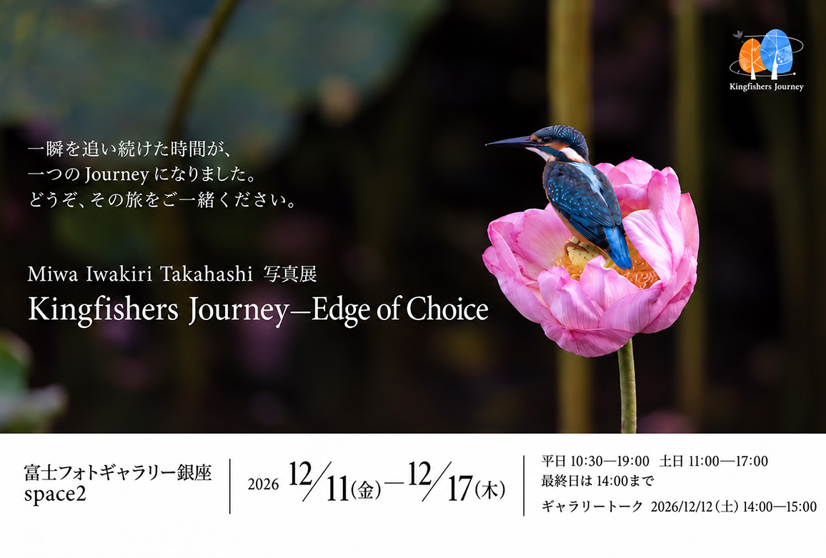 Miwa Iwakiri Takahashi 写真展 Kingfishers Journey — Edge of Choice